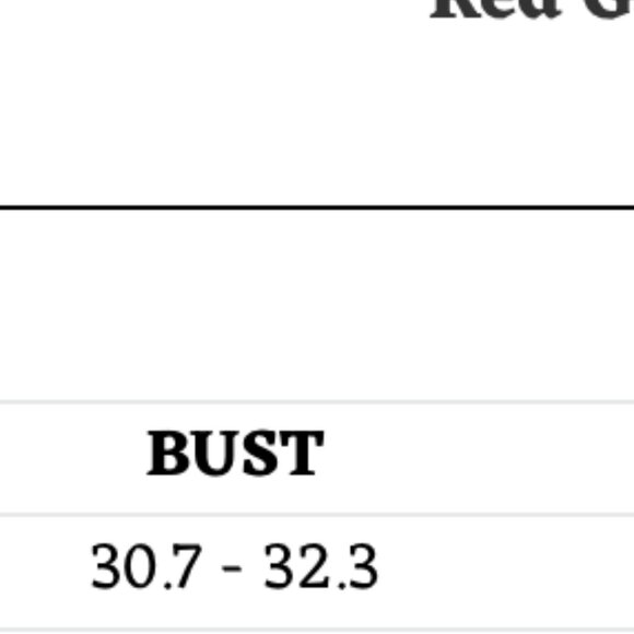 NWT lacemade xs Red Garnet Corset Dress - Picture 7 of 7